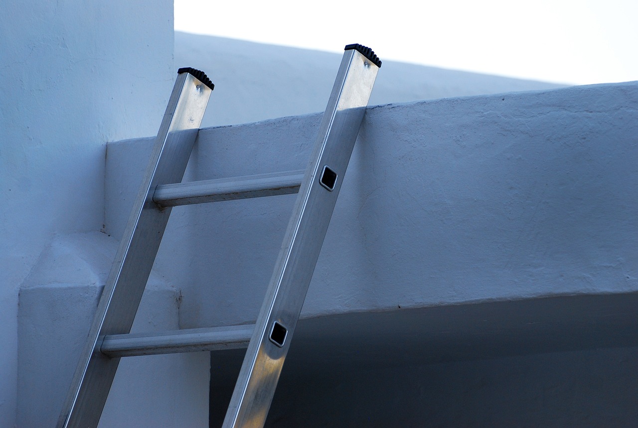 ladder, rise, to get-434523.jpg